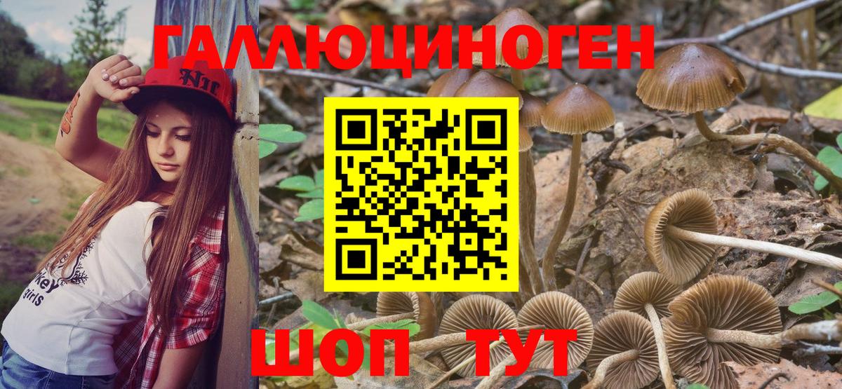 Псилоцибиновые грибы мицелий Назрань
